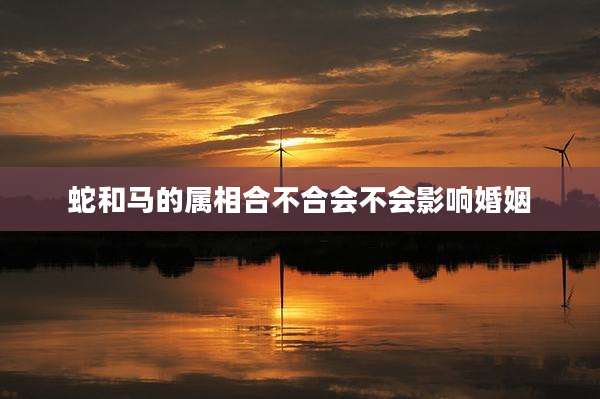 蛇和马的属相合不合会不会影响婚姻