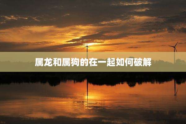属龙和属狗的在一起如何破解