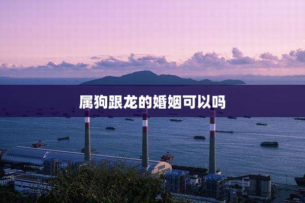 属狗跟龙的婚姻可以吗
