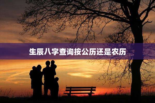 生辰八字查询按公历还是农历
