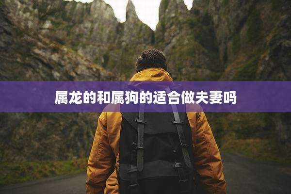 属龙的和属狗的适合做夫妻吗