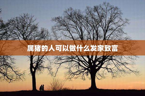 属猪的人可以做什么发家致富
