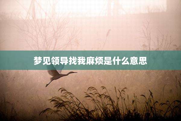 梦见领导找我麻烦是什么意思