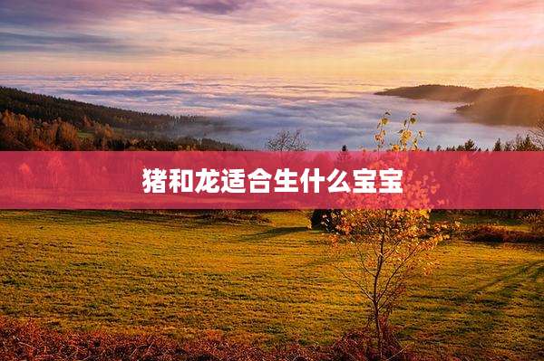 猪和龙适合生什么宝宝