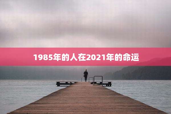 1985年的人在2021年的命运