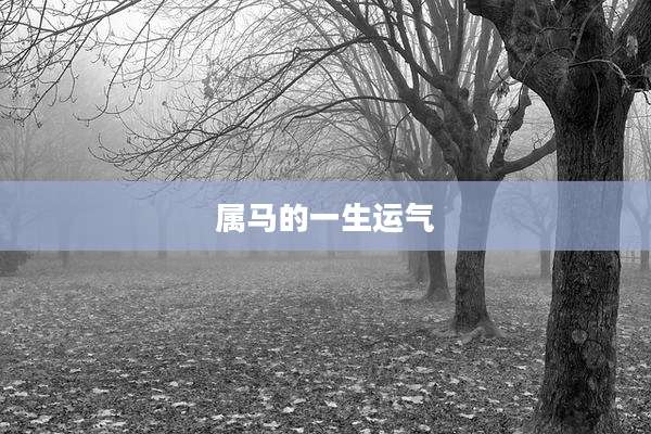 属马的一生运气