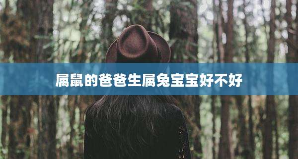 属鼠的爸爸生属兔宝宝好不好
