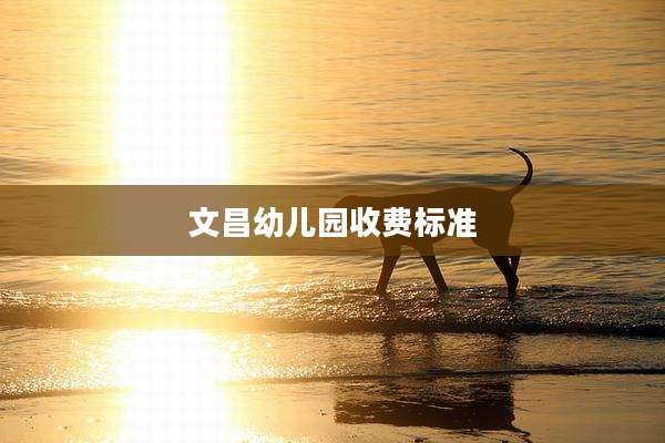 文昌幼儿园收费标准