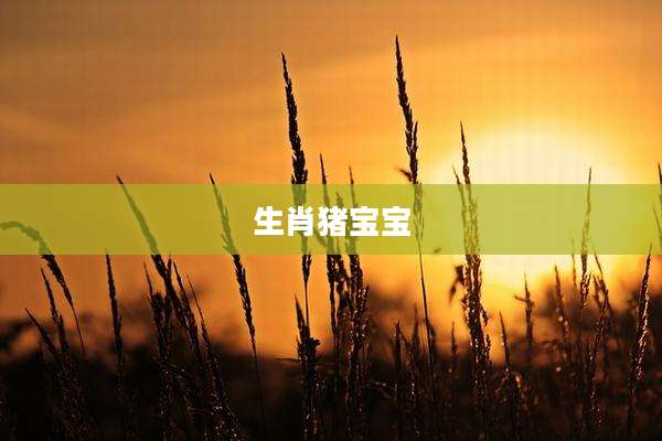 生肖猪宝宝