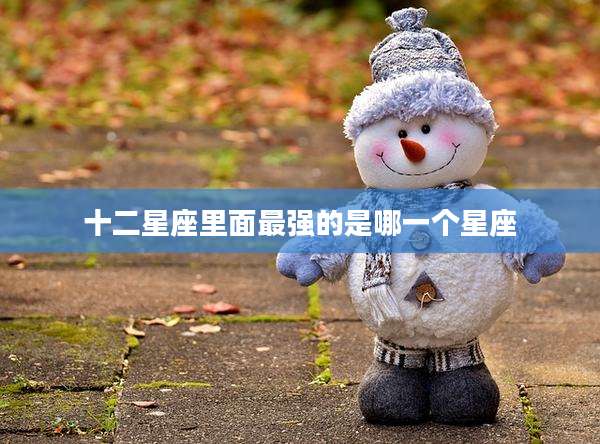 十二星座里面最强的是哪一个星座
