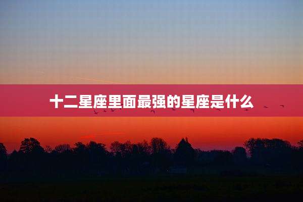十二星座里面最强的星座是什么