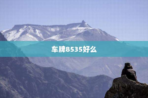 车牌8535好么
