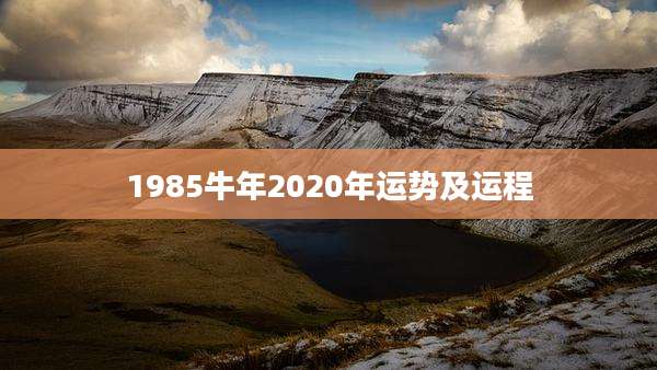 1985牛年2020年运势及运程