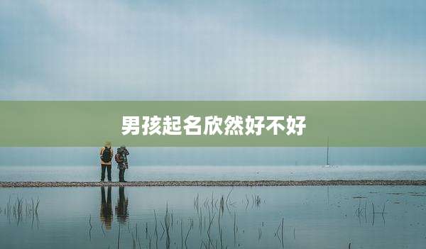 男孩起名欣然好不好