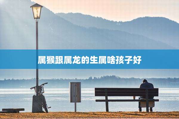 属猴跟属龙的生属啥孩子好