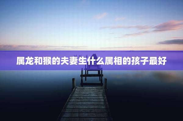 属龙和猴的夫妻生什么属相的孩子最好