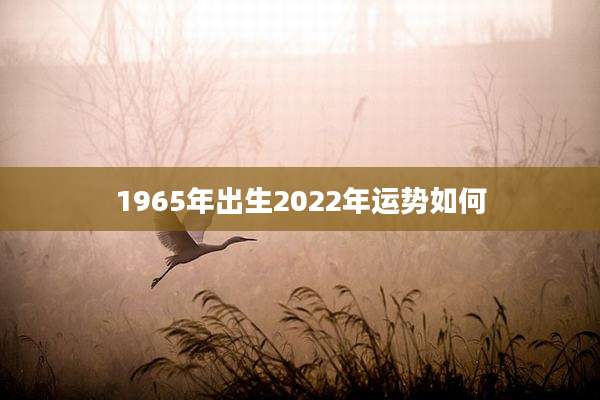 1965年出生2022年运势如何