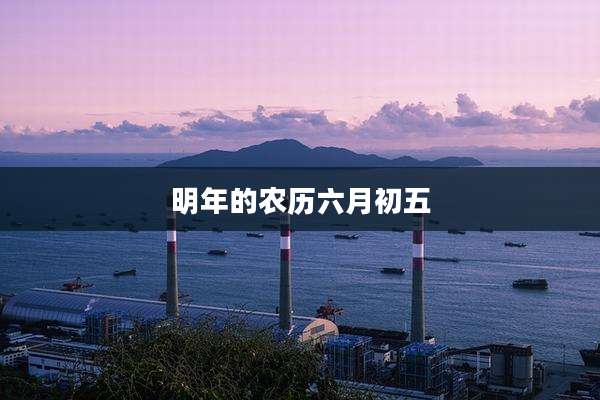 明年的农历六月初五
