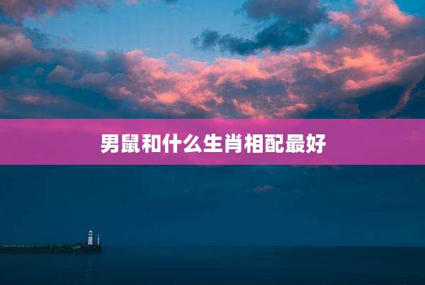 男鼠和什么生肖相配最好