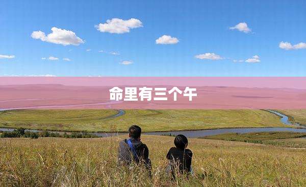 命里有三个午