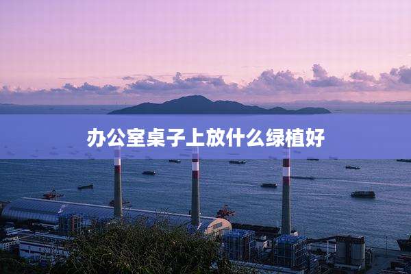 办公室桌子上放什么绿植好