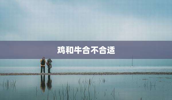 鸡和牛合不合适