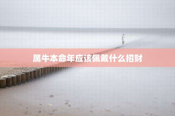 属牛本命年应该佩戴什么招财