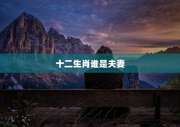 十二生肖谁是夫妻