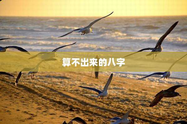 算不出来的八字