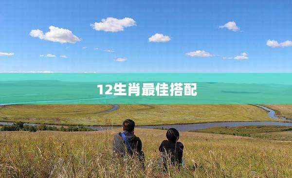 12生肖最佳搭配