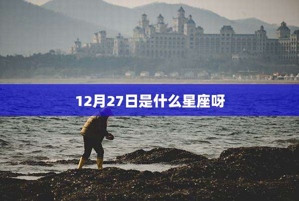 12月27日是什么星座呀