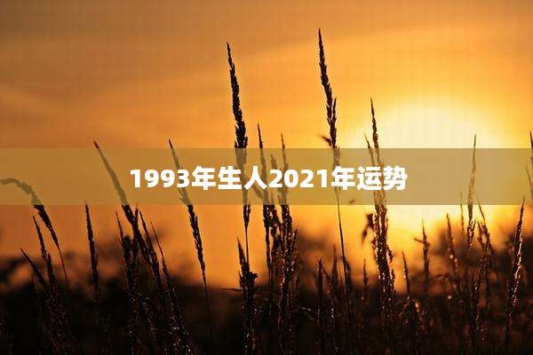 1993年生人2021年运势