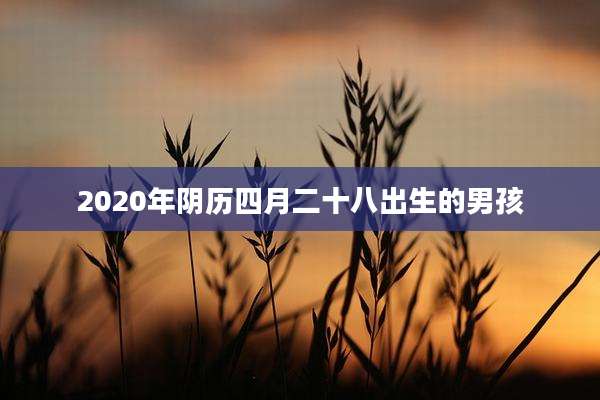 2020年阴历四月二十八出生的男孩