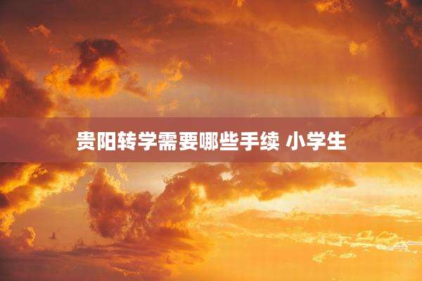 贵阳转学需要哪些手续 小学生