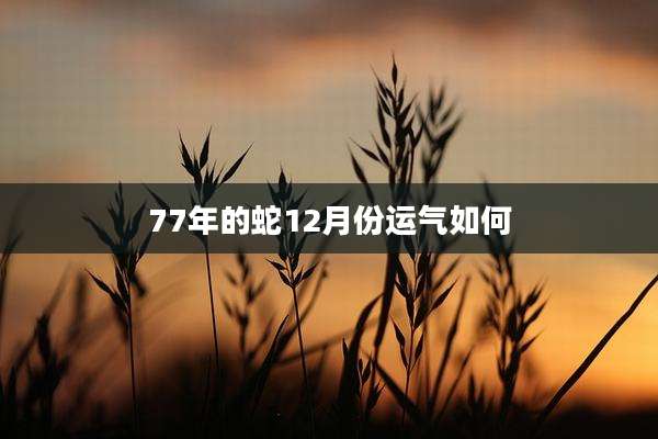 77年的蛇12月份运气如何