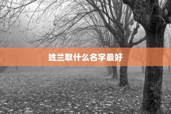 姓兰取什么名字最好