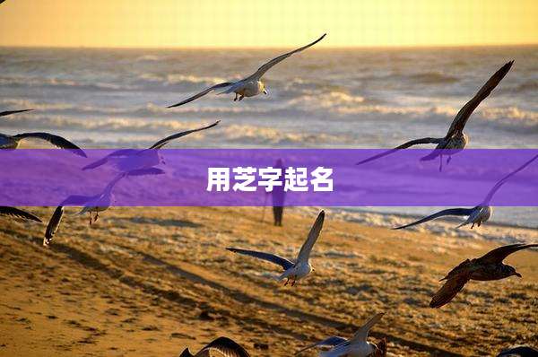 用芝字起名