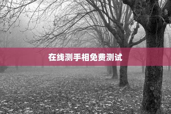 在线测手相免费测试