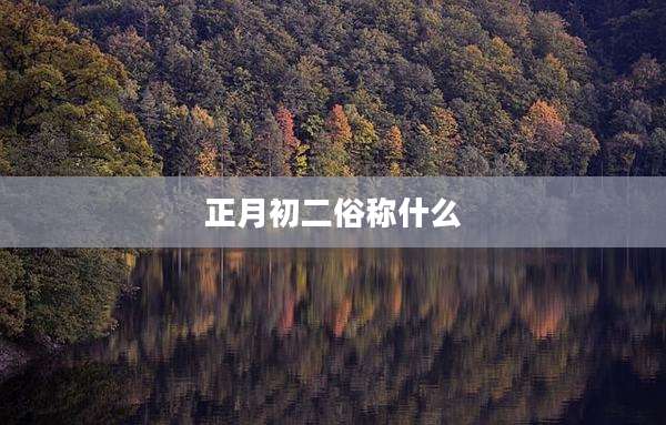 正月初二俗称什么