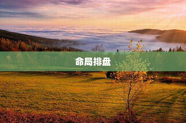 命局排盘