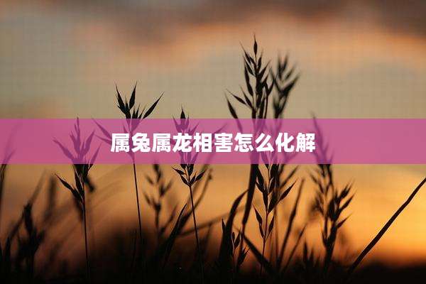 属兔属龙相害怎么化解