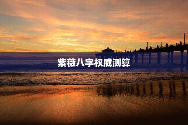 紫薇八字权威测算