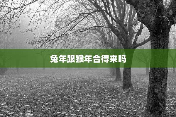 兔年跟猴年合得来吗