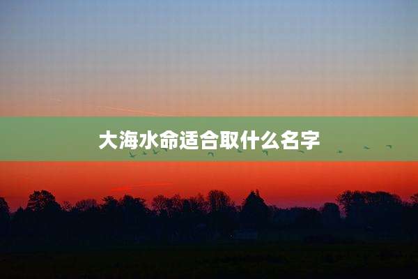 大海水命适合取什么名字