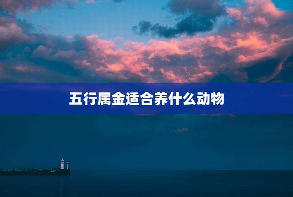五行属金适合养什么动物