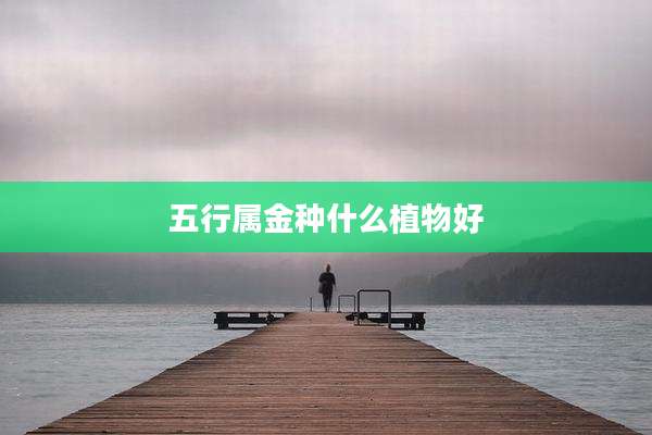 五行属金种什么植物好