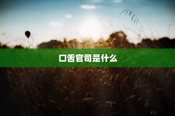 口舌官司是什么