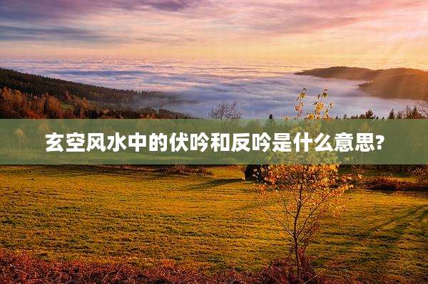 玄空风水中的伏吟和反吟是什么意思?