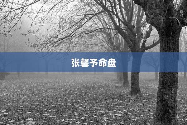 张馨予命盘