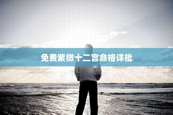免费紫微十二宫命格详批